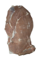 Gallo